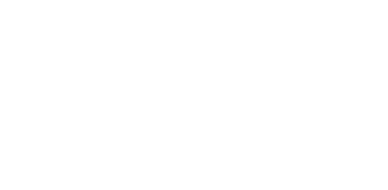 Partner 3 logo